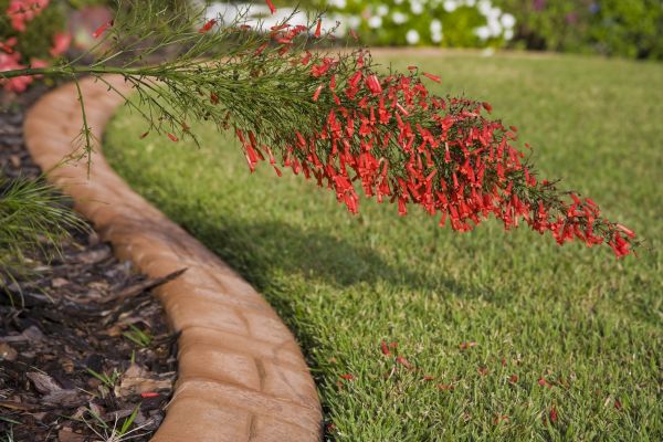 Brick Edging in Troy
